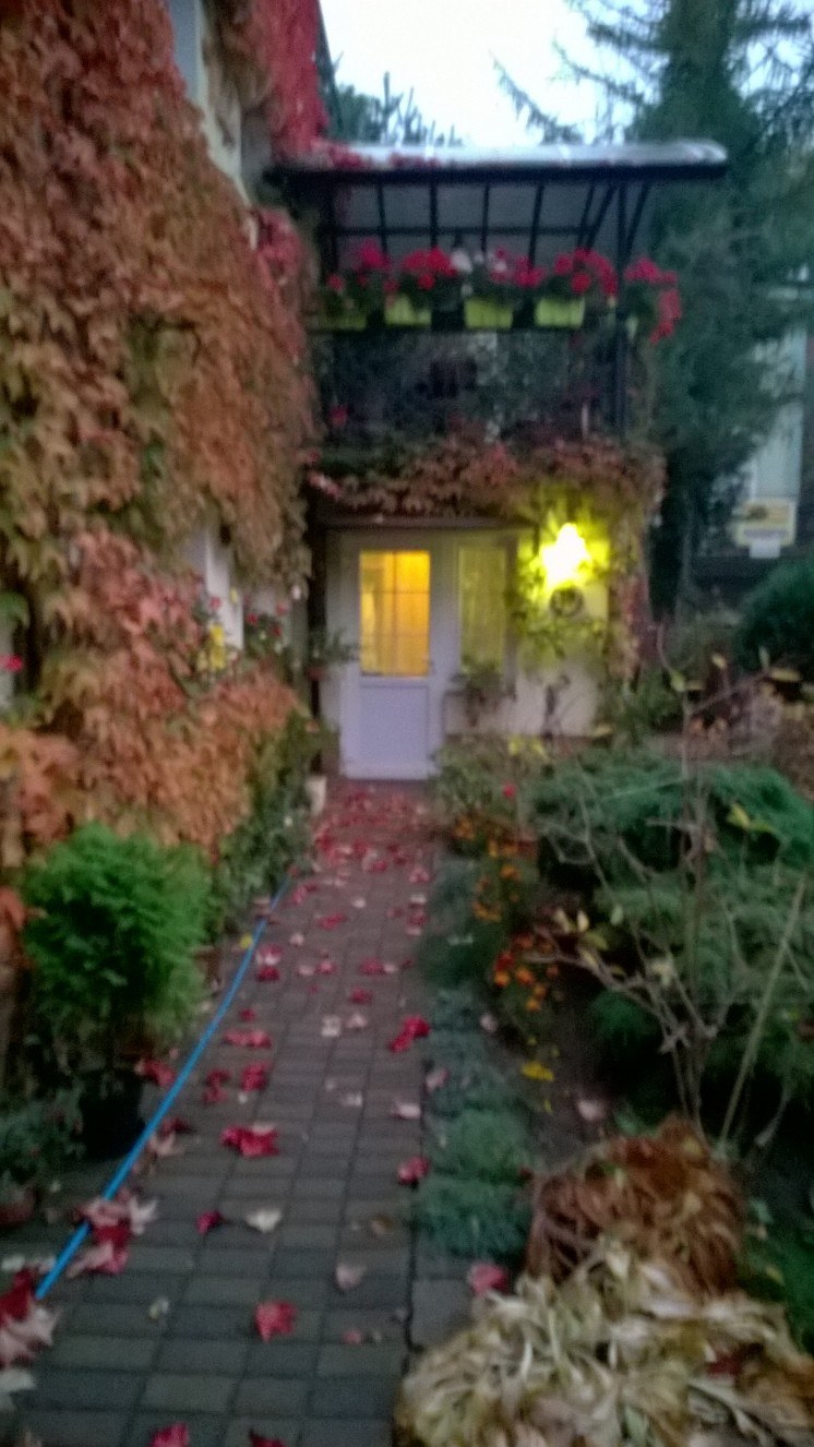 Ścieżka z czerwonymi liśćmi prowadząca do białych drzwi domu obrośniętego rudymi pnączami i żółtą lampą