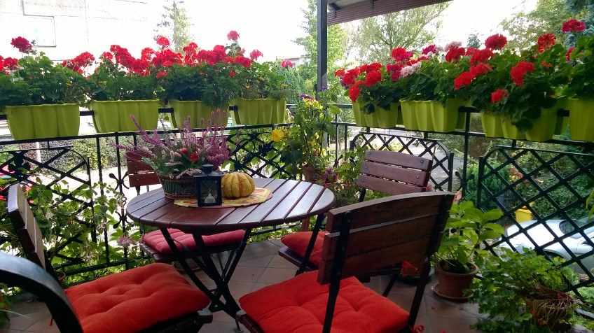 Balkon z drewnianym stołem i czterema krzesłami z czerwonymi poduszkami, donice z czerwonymi pelargoniami