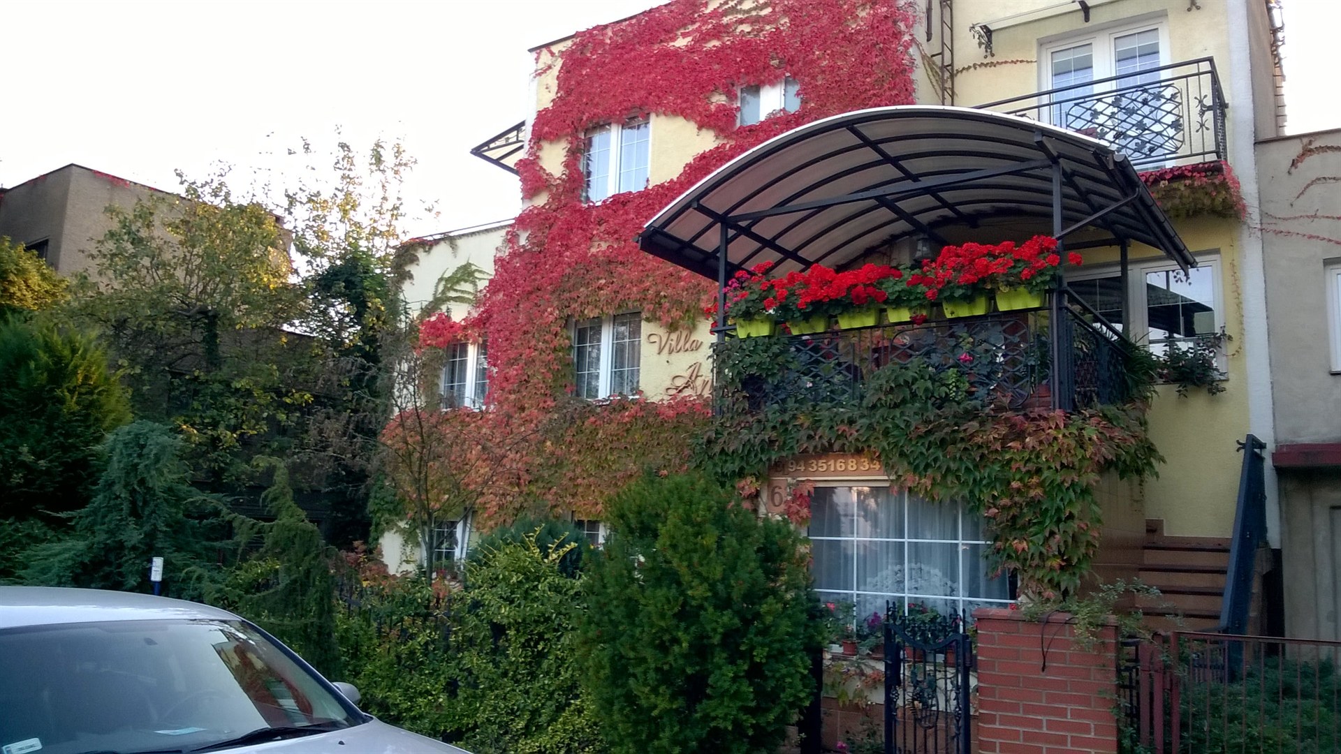 Żółta willa obrośnięta czerwonym winobluszczem, balkon z daszkiem i donicami czerwonych pelargonii